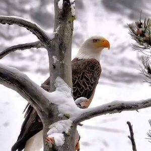 Meet your Posher, Brad